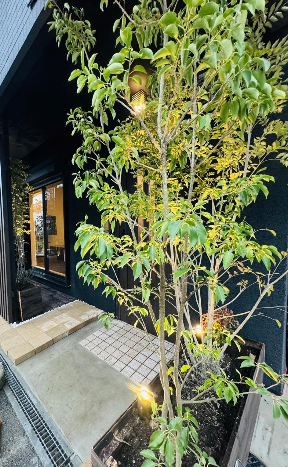 Tengachaya House Osaka Dış mekan fotoğraf